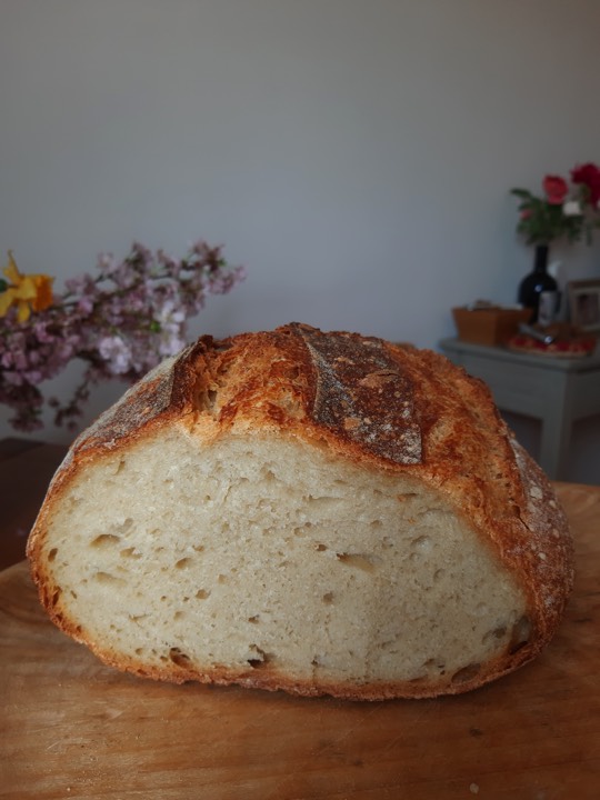 Pane%20con%20farina%20di%20farro%20monococco corsi
